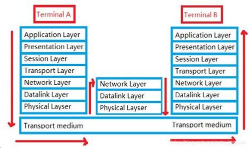 网络技术的演进与未来展望